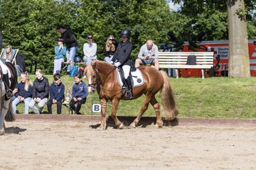 Bild 53 - Pony Akademie Turnier